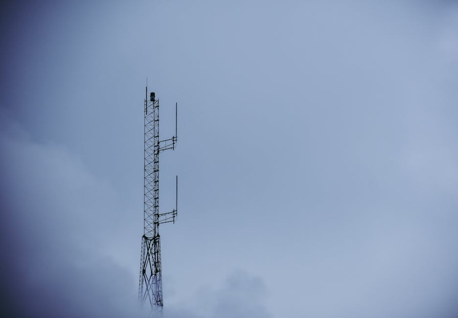 telecom managed service companies